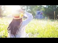Download Lagu Tiếng Gió Xôn Xao ~ Đàm Vĩnh Hưng (Audio)