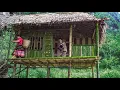 Download Lagu The Old Man's Guide to Sustainable Living and How to Build Bamboo Houses | Life Off the Grid