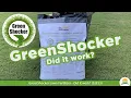 GreenShocker Lawn Fertilizer - Did it work S2E23