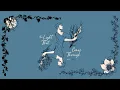 Sparkbird The Light That Comes Through Visualizer