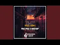 Download Lagu Pale Pale / Mashup (Remix)