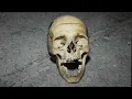 Band of Skulls - Death by Diamonds and pearls