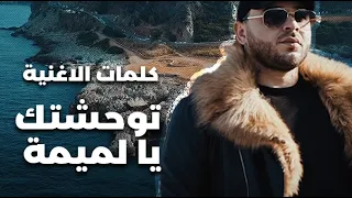 كلمات الاغنية توحشتك يا لميمة 