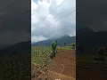 Download Lagu Sekuat kuatnya aku berjuang \
