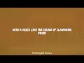Death Cab for Cutie - Punching the Flowers (Lyrics)