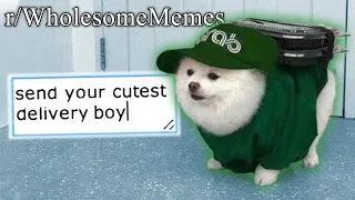 Download r/WholesomeMemes | cutest memes on the internet MP3