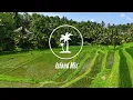 4K Indonesia - Ubud Summer Mix 2024 🏝 Vocal House Music
