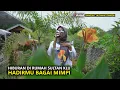 Download Lagu SUARANYA MENGHIPNOTIS SETIAP PENGGEMAR DANGDUT JALANAN IRAMA DOPANG NIA DIRGHA LIVE LOMBOK UTARA