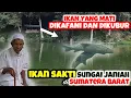 Download Lagu LEGENDA IKAN SAKTI SUNGAI JANIAH YANG UKURANNYA SEBESAR ANAK SAPI #legenda  #minangkabau