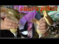 Download Lagu suara pikat kapas tembak banyak yang cari || cara pikat kapas tembak