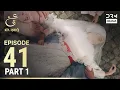 Download Lagu Ain Ishq | Episode 41 - Part 1 | One Love Turkish Drama Urdu Dubbed | UD1O