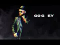 Taylor Goyette - Go Grey (Official Audio)