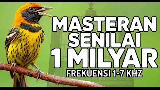 birds singing with emotion ultimate luxury bird mastering sounds
