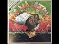 Peter Tosh - Johnny B. Goode (Long Version) (432hz)