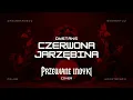 Lagu 🔥 Dystans - Czerwona Jarzębina (ale to heavy metal cover) 🦃🤘 HIT | Przewiane Indyki