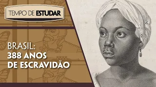 Brasil: 388 anos de escravidão l Tempo de Estudar | História | 8º ano