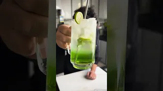 Lemon And Mint Mojito Part 12 Of The 49 Second Summer Juice Series Wagdy Recipes Drinks Mojito 