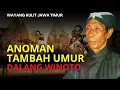 WAYANG KULIT, JAWA TIMURAN LAKON ANOMAN TAMBAH UMUR, FULL EPISODE, DALANG ALM. KI WINOTO I KLASIK