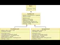 Java Bank Inheritance Project Building a Banking System in Java