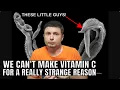 Download Lagu Surprising Reason Why Humans Can't Produce Vitamin C Anymore
