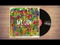 Mt. Joy - Orange Blood