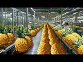 The Secret Of How Indonesians Grow Over 80 Million Pineapples And Process 150 000 Tons Of Pineapples