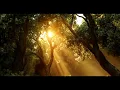 THE FALL (TEASER TRAILER) - Tommee Profitt x Sam Tinnesz
