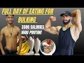 Full Day of Eating for Bulking 3500 Calories 160g Protein Muscle Gain Diet Plan
