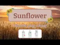 Sunflower Ukulele Play Along - Post Malone and Swae Lee