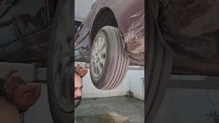 تشخيص بلى العجل واصواته 