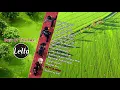 Download Lagu Letto - I'll Find Away (Best Of The Best)
