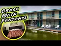 Dirty Motels -