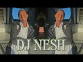 Download Lagu tum hi ho reggae mix [DJ NESH] chill vibes [Fijian jive]
