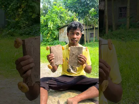 স্কেটিং বানালাম 😱🛼 #minivlog #vlog