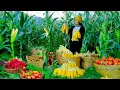 Download Lagu Harvest Corn To Make Buttered Popcorn, Fruits, And Vegetables To Sell At The Market, Cook, Garden