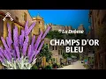 Download Lagu The Drôme Between Vercors and Provence | Alpine Massifs and Lavender Fields