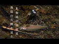 Download Lagu 【北海道】初夏トップシーズンはこのルアーが最強！！エキサイティングな渓流ANTARES！