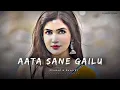Aata Sane Gailu T Gil Kai Dehlu - Slowed Reverb 🎧|| Bhojpuri Pawan Singh || #lofi #pawansingh 