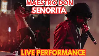 maestro don senorita more live performance dyani