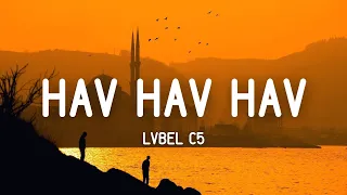 Lvbel C5 Hav Hav Hav Sözleri Lyrics Onlar Arkadan Havlar 