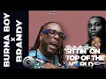 Download Lagu BURNA BOY × BRANDY - TOP OF THE WORLD🌏MIX | 2023 - DJ SPARKS MUSIC