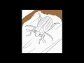 INSECT COLORING BOOK - HOW TO DRAW