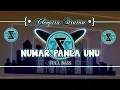 Dj_NUMAR PANLA UNU_Cleopatra Stratan full bass (ZOEN SLOW)