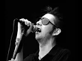 Shane MacGowan & The Popes - Paddy Public Enemy No. 1