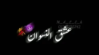 حاله وتساب مهرجان مشاء الله كل صحابي كلاب ظله ميسو ميسره تصميم مالك عمرو 