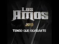 Tengo Que Olvidarte