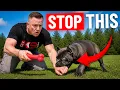 The BIGGEST Puppy Biting Mistakes