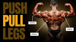 O TREINO PERFEITO DE PUXAR