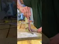 How to preserving a wild Turkey foot