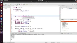 Java Tutorial 14 Reference variables static variables constructors visibility modifiers